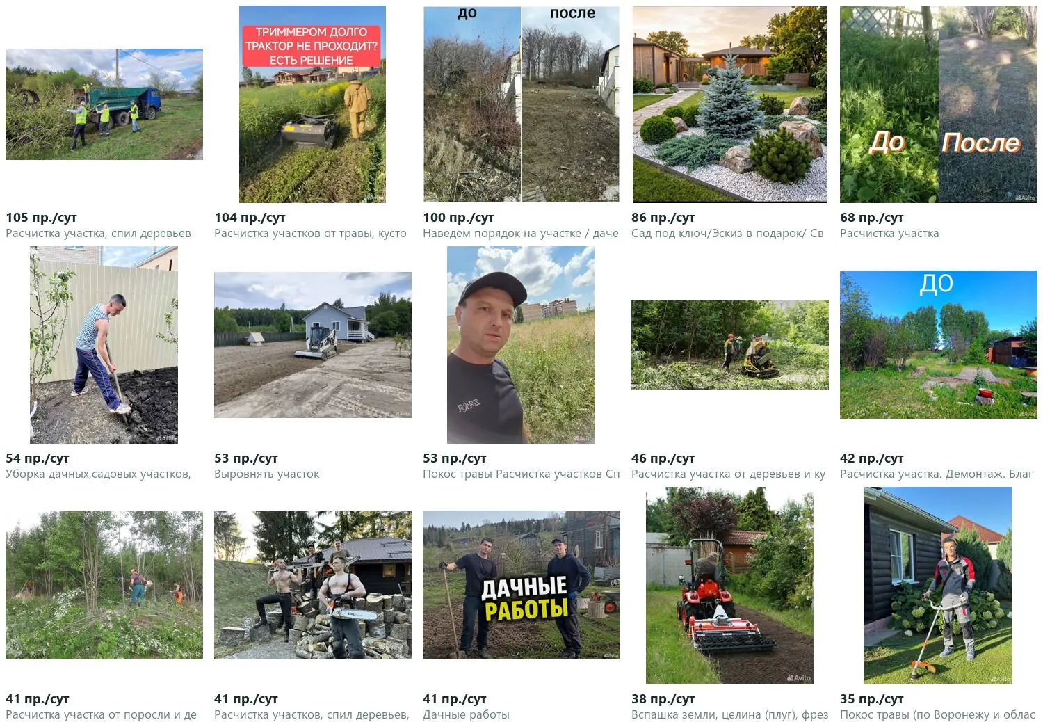 Главные фотографии 15 объявлений-лидеров ниши, подписанные просмотрами в сутки